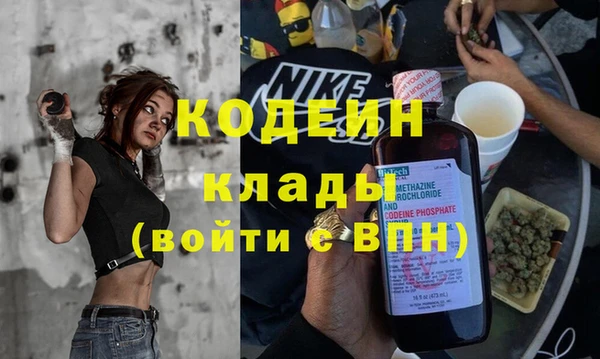 гашик Касимов